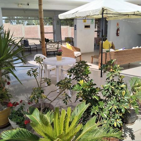 Icthus Paracas Exterior photo